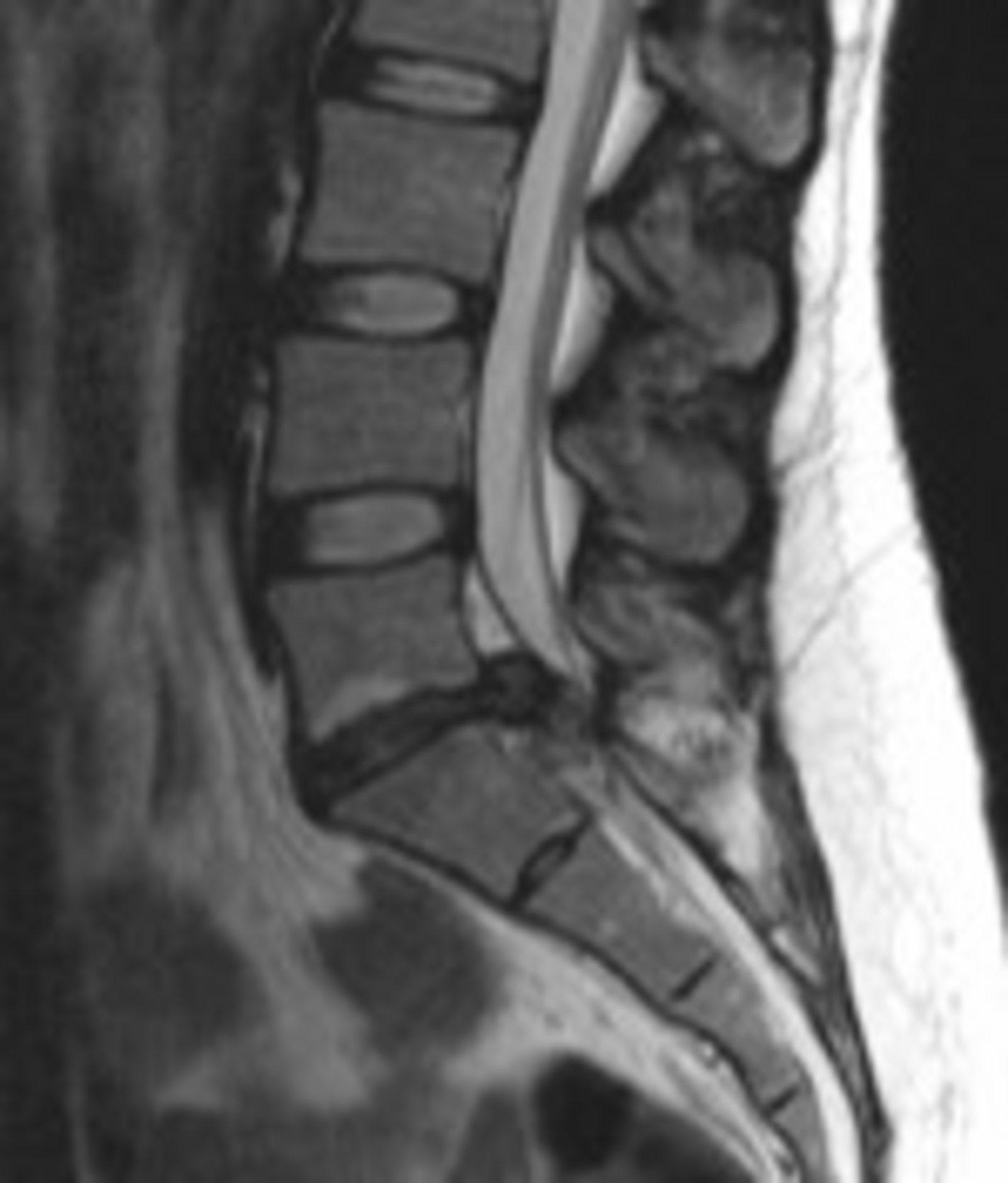 Erkrankungen &amp; Therapien